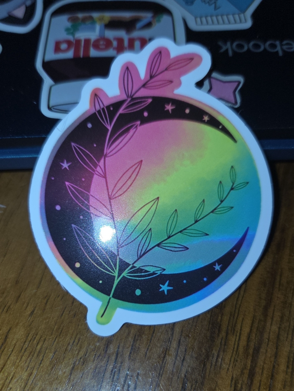 Holographic Rainbow Moon Wall Sticker with Botanical Design
